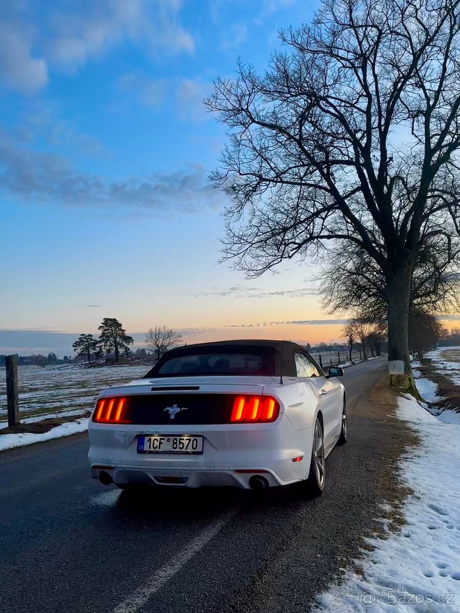 Ford mustang convertible 3.7 V6 - 8