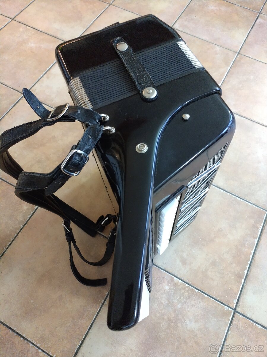 Harmonika Delicia - 8