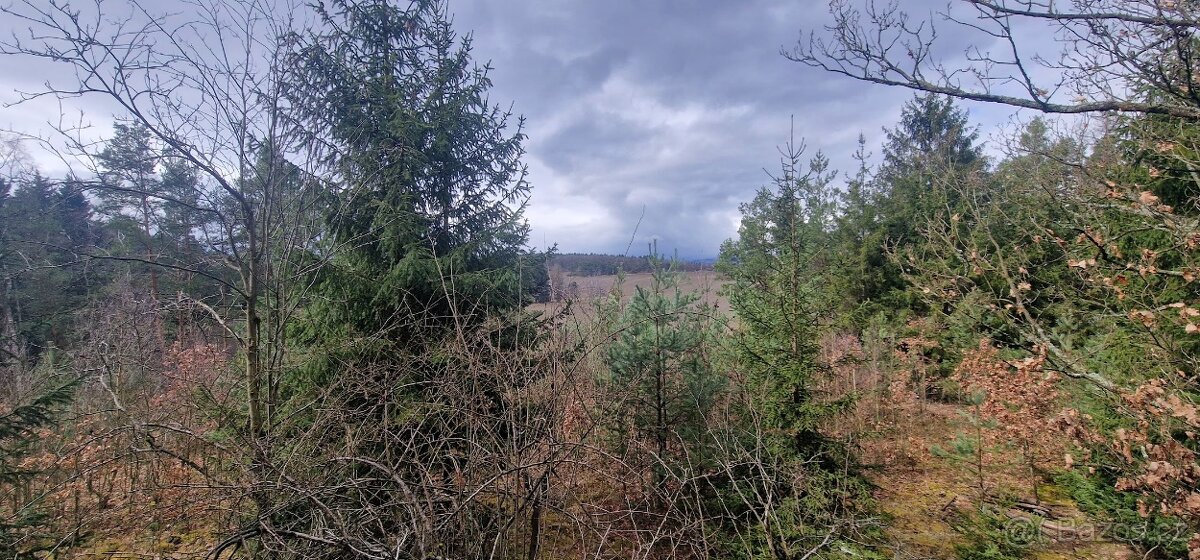 Řopík - Na prodej – lehké opevnění vzor 37, typ D - 8