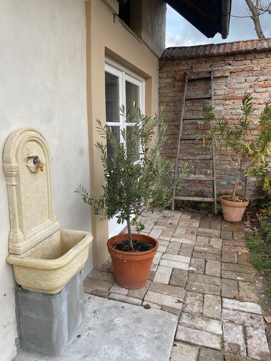 Rodinný dům k pronájmu - 8