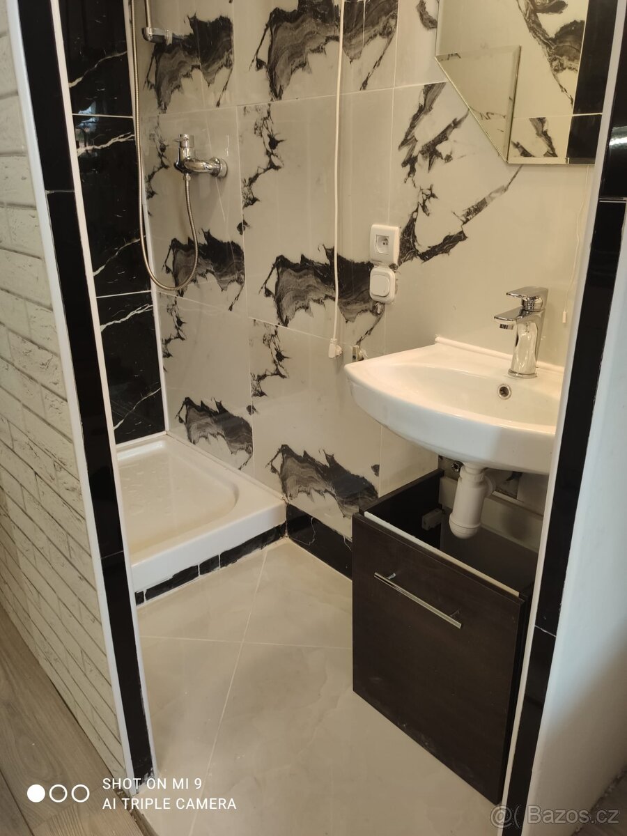 Pronájmu byt 1+KK v Karlovych Varech - 8