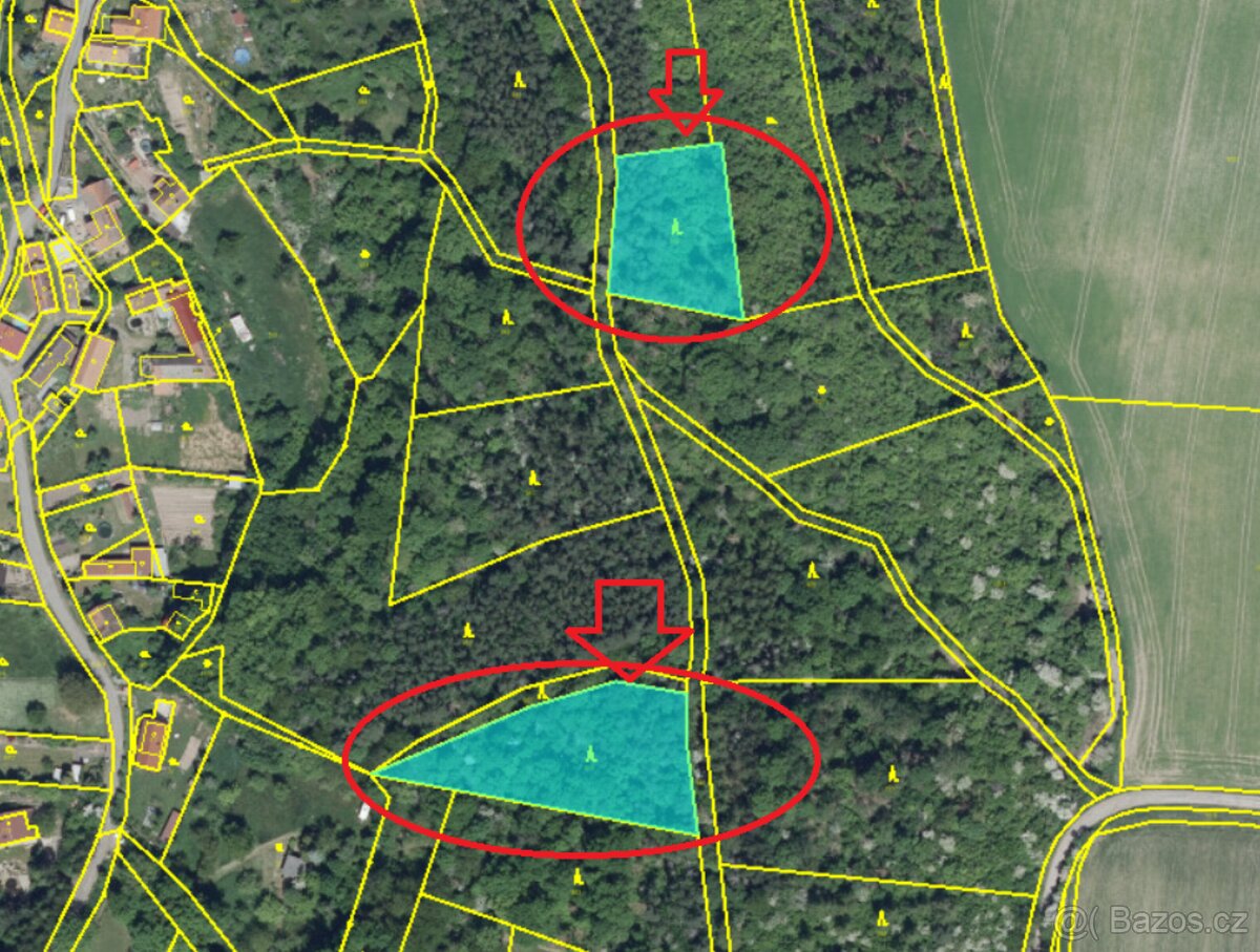 Prodej lesních pozemků v k.ú. Úlovice - 8