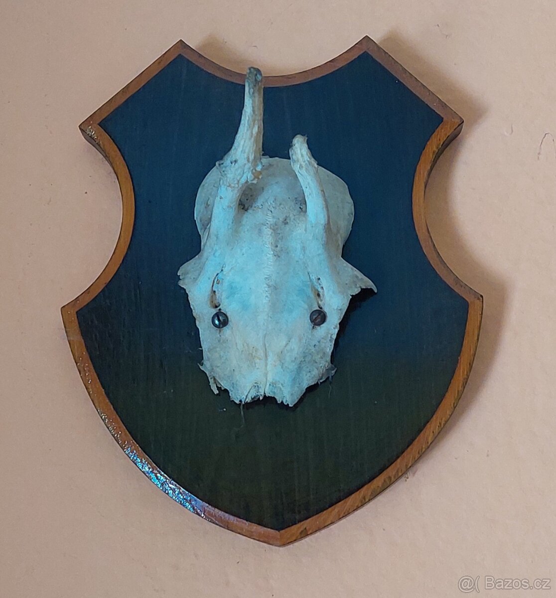 Parohy a paroží, bažant - 8