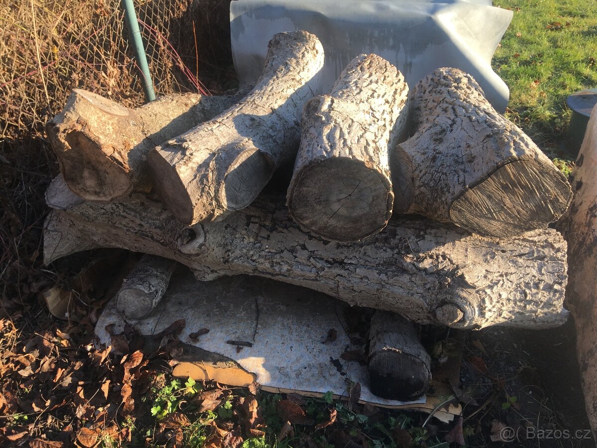 Ořešák proschlý, prkna, špalky - 8