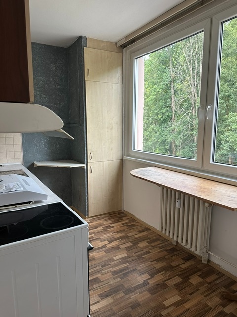 Pronájem bytu 2+1 (70m2) s balkónem - 8