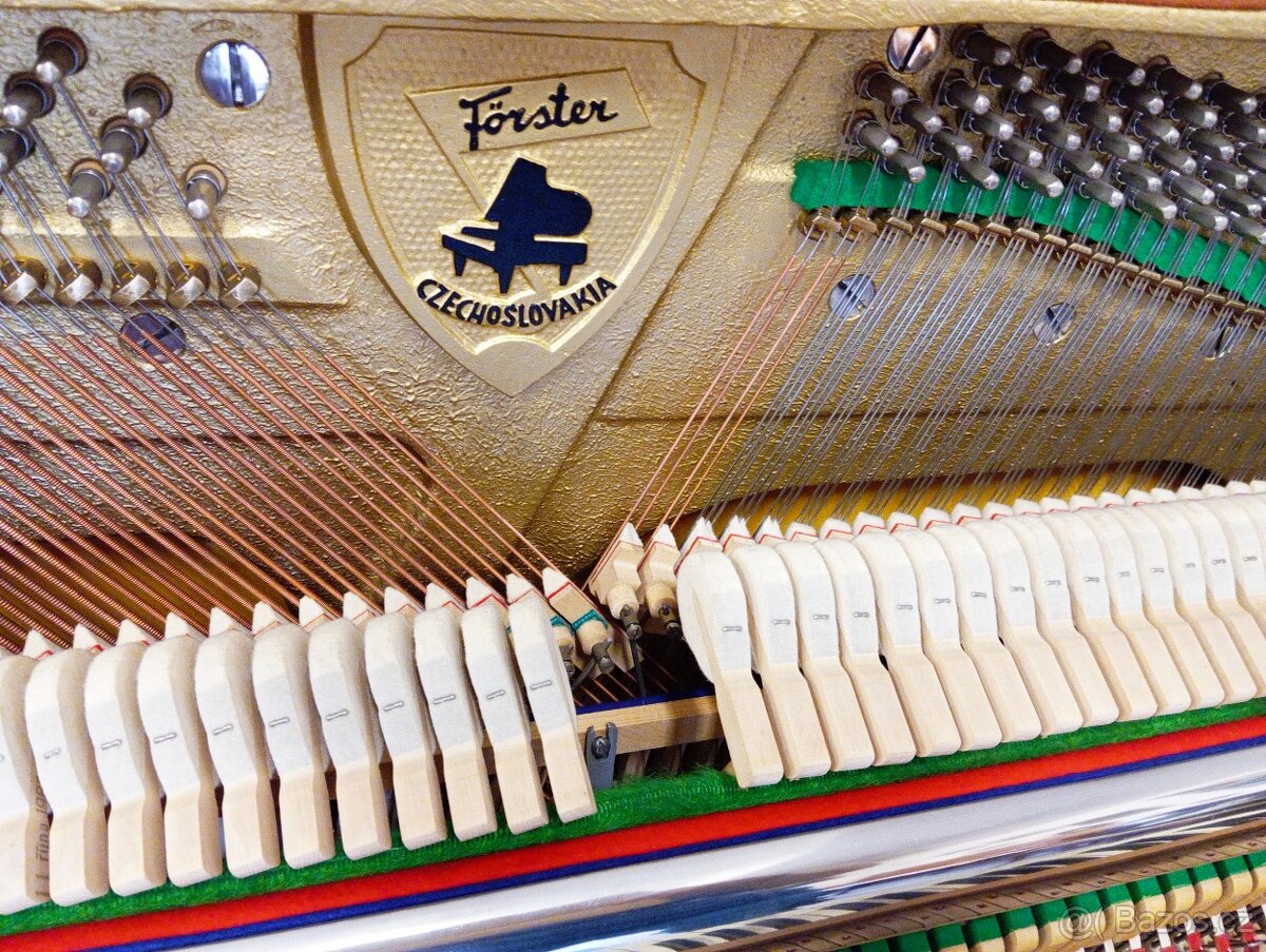 August Forster mod.116-Dovoz po ČR zdarma 24/7 - 8