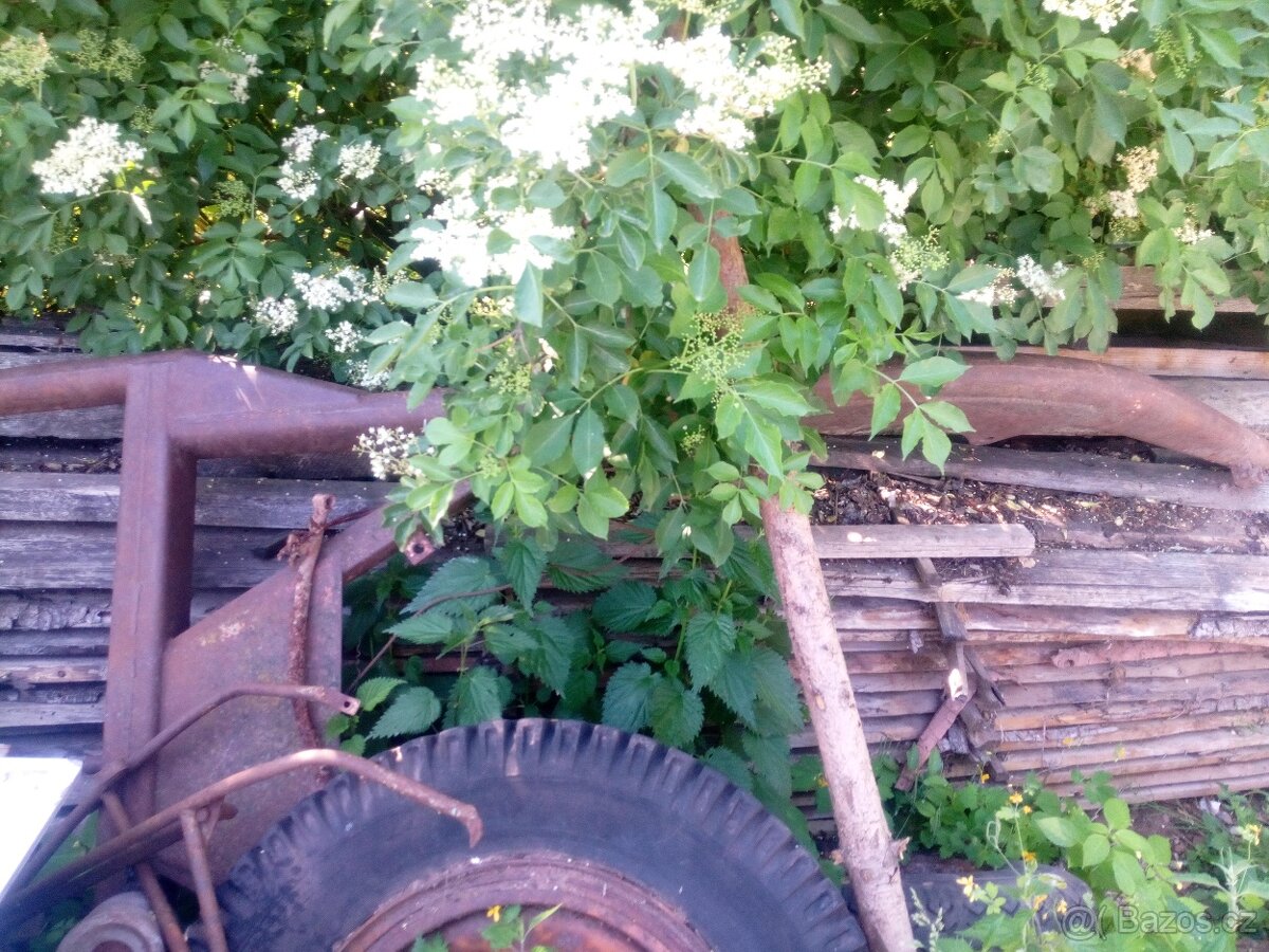 Prodám traktor - 8