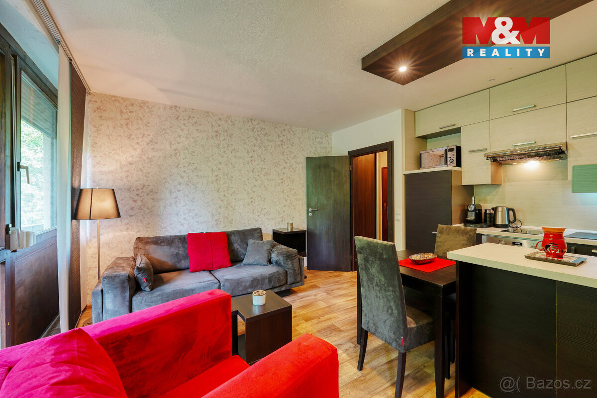 Prodej bytu 2+kk, 55 m², Železná Ruda - 8