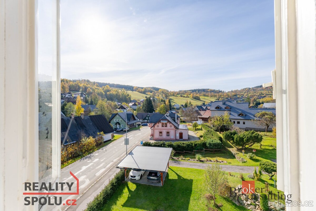 Prodej, komerční/činžovní dům, 500 m2, Horní Rokytnice 490, - 8