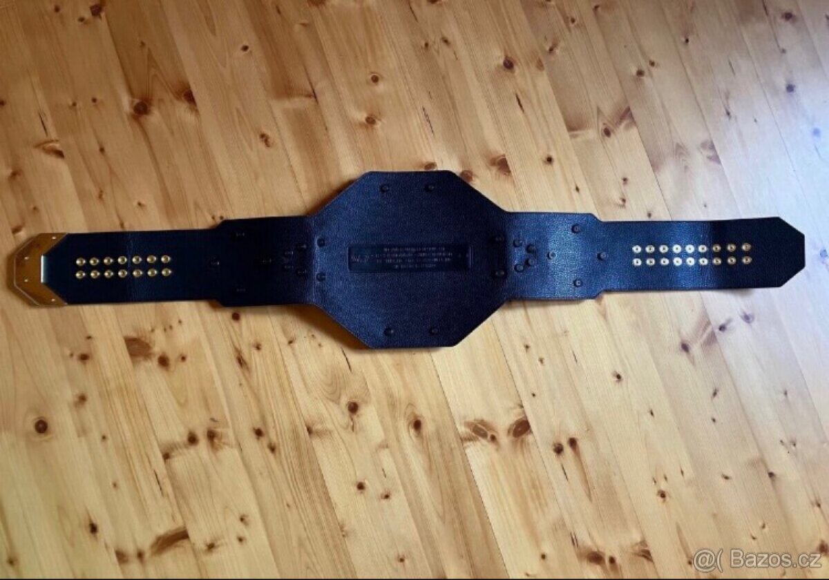UFC pás - 8