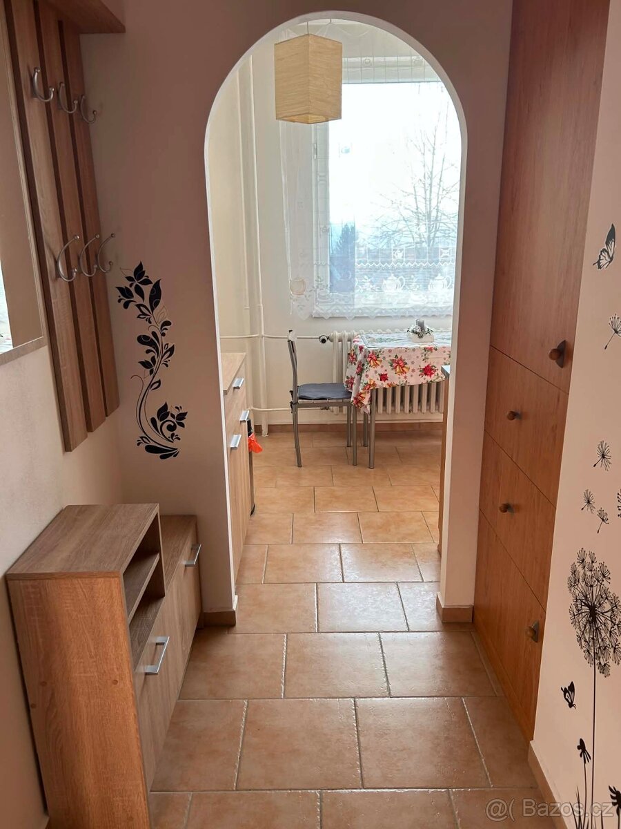 Vyměním byt 1+1 za 2+1 - 8