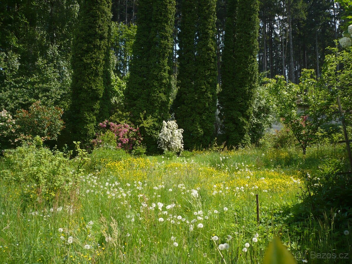 Chata 34m² se zahradou 5030m², Česká Třebová - 8