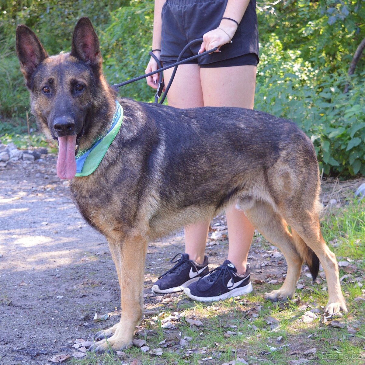 René hlada domov - 8