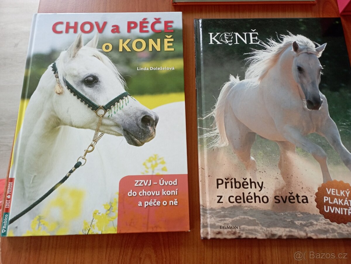 Knihy pro zájemce o kone - 8