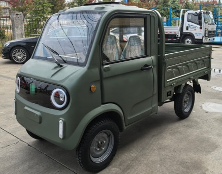 Elektrický Zethos Pick-Up 3000W s SPZ - 8