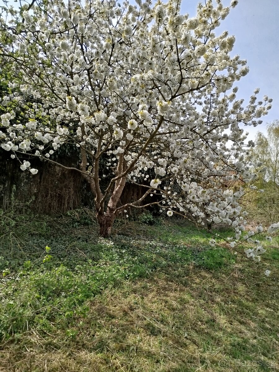 Domek,chalupa kousek od vranovské přehrady - 8