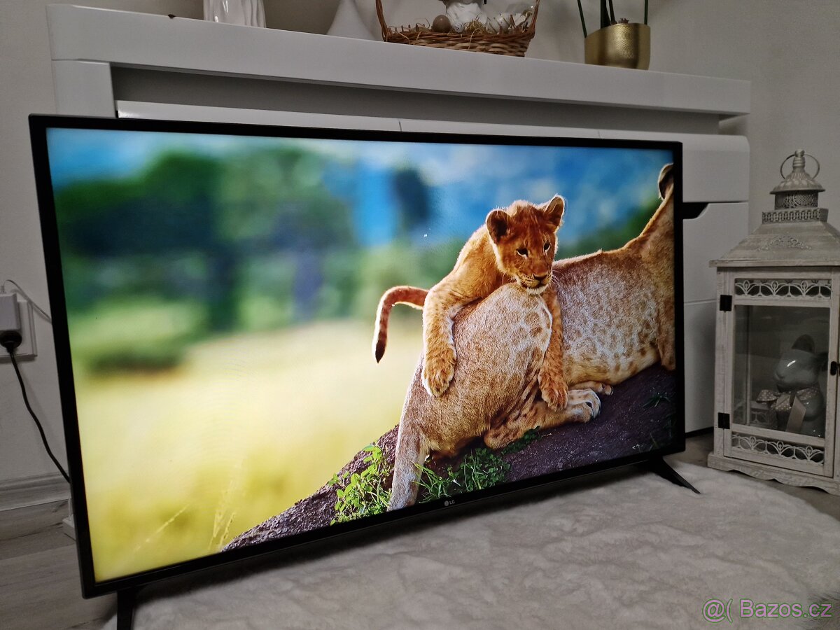 Smart Televize LG 49LJ594V - 8
