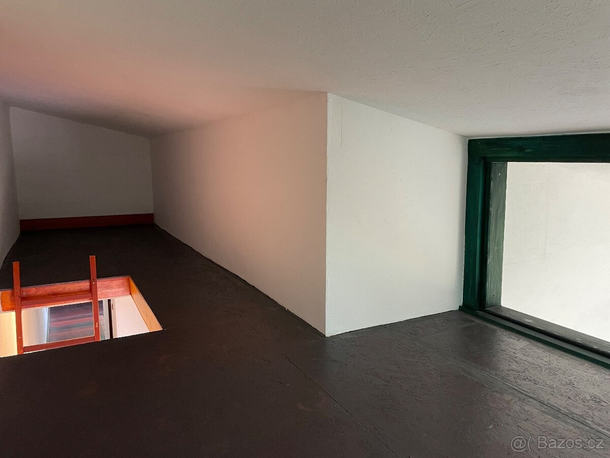 Pronájem nemovitosti - 8