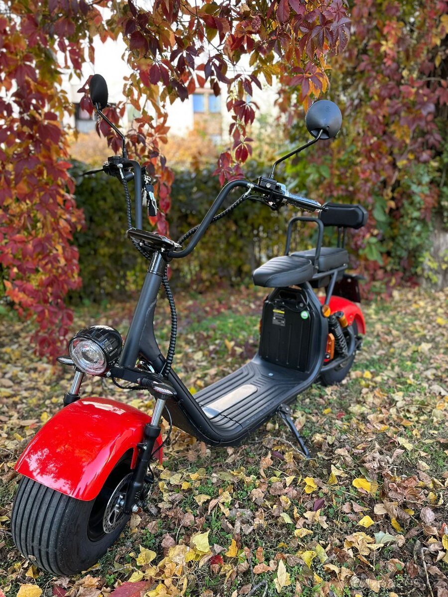 Elektrický chopper GAEA - 8