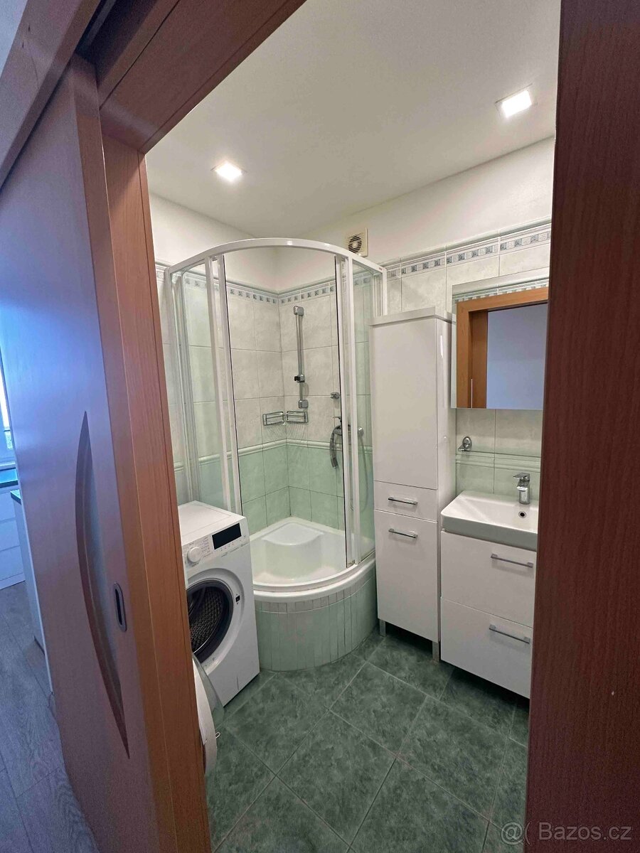 Pronájem bytu 3+1 v Přerově - 8