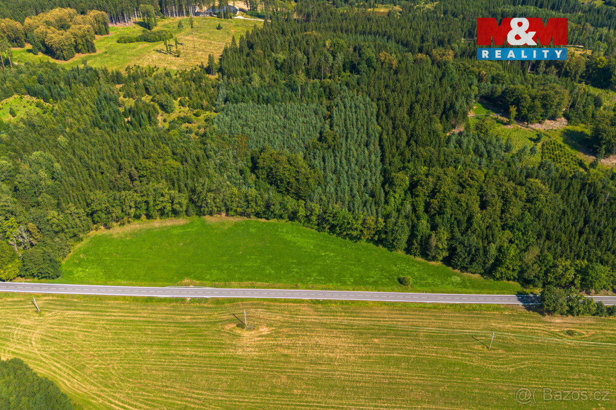 Prodej louky, 8721 m², Hracholusky - 8