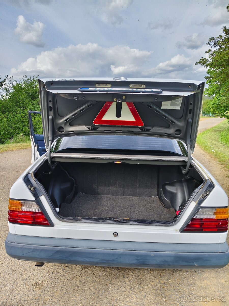 Mercedes-Benz W124 250D - 8