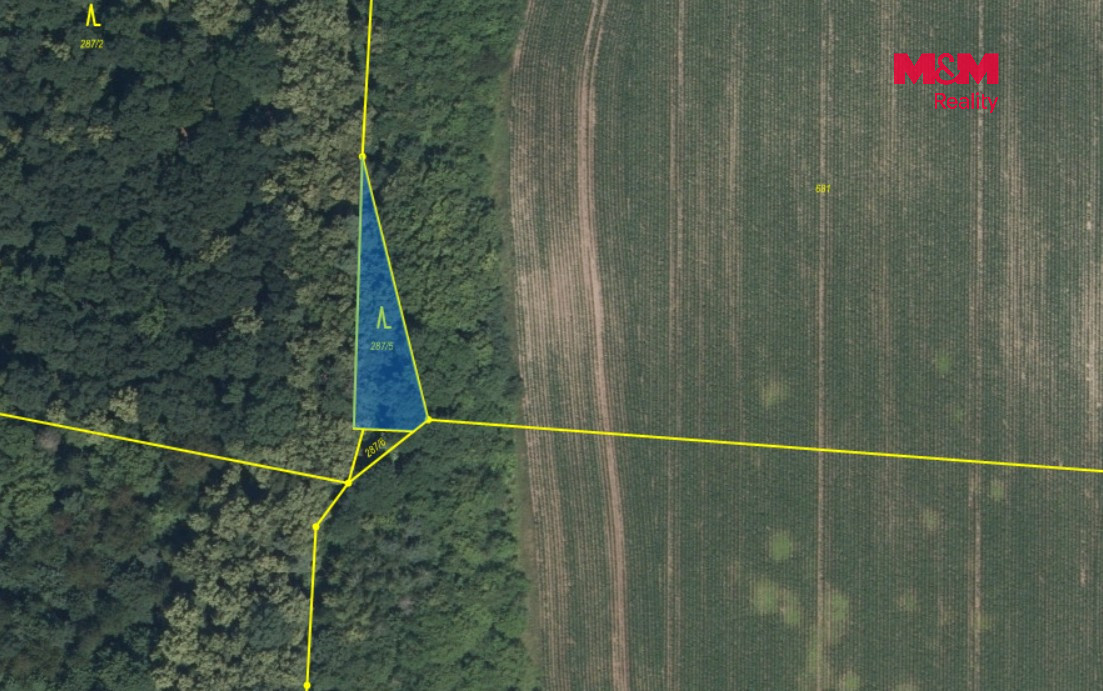 Prodej lesa, 5857 m², Kounice - 8
