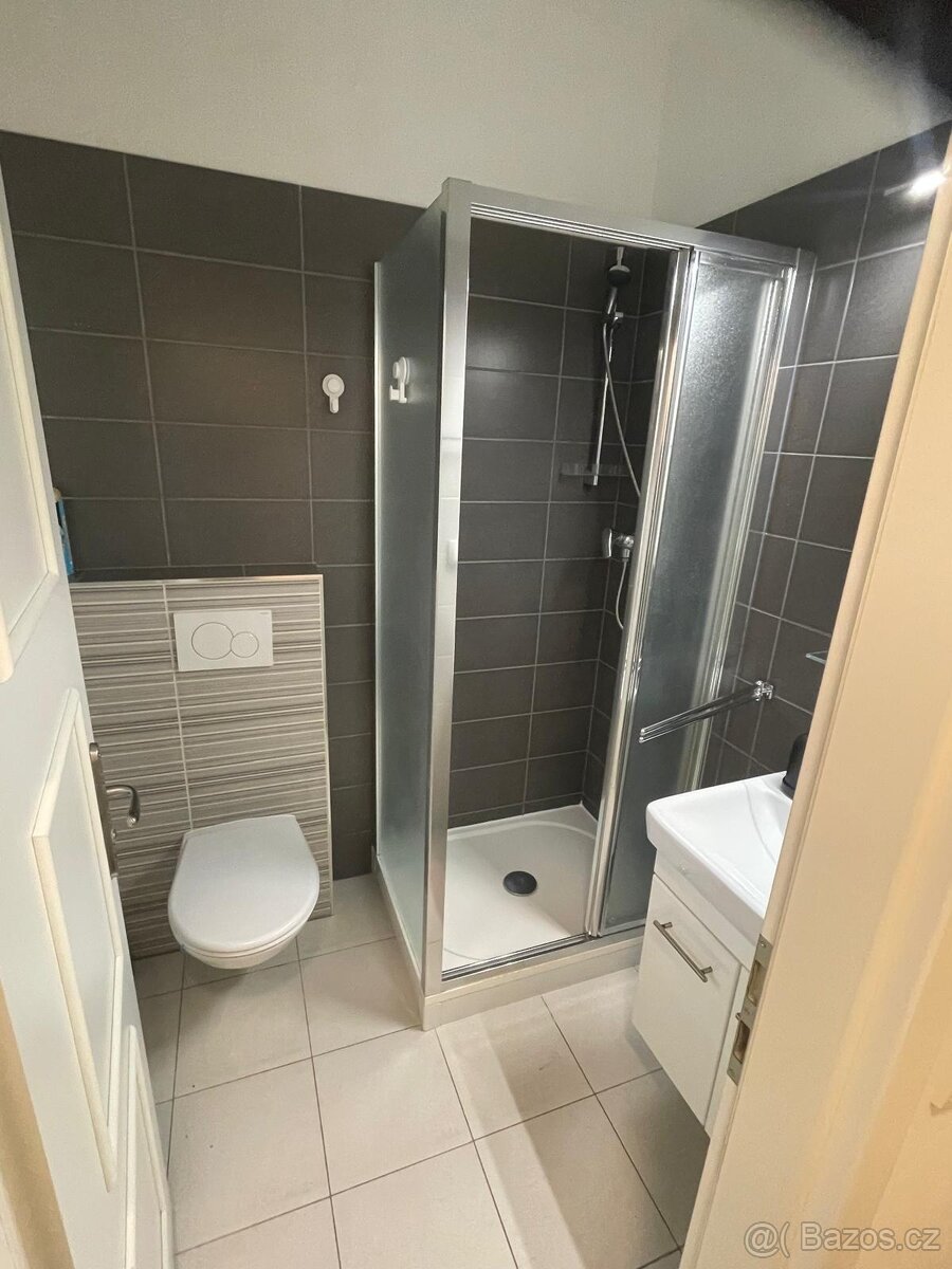 DLouhodobý pronájem bytu 2+kk (55 m2) - 8