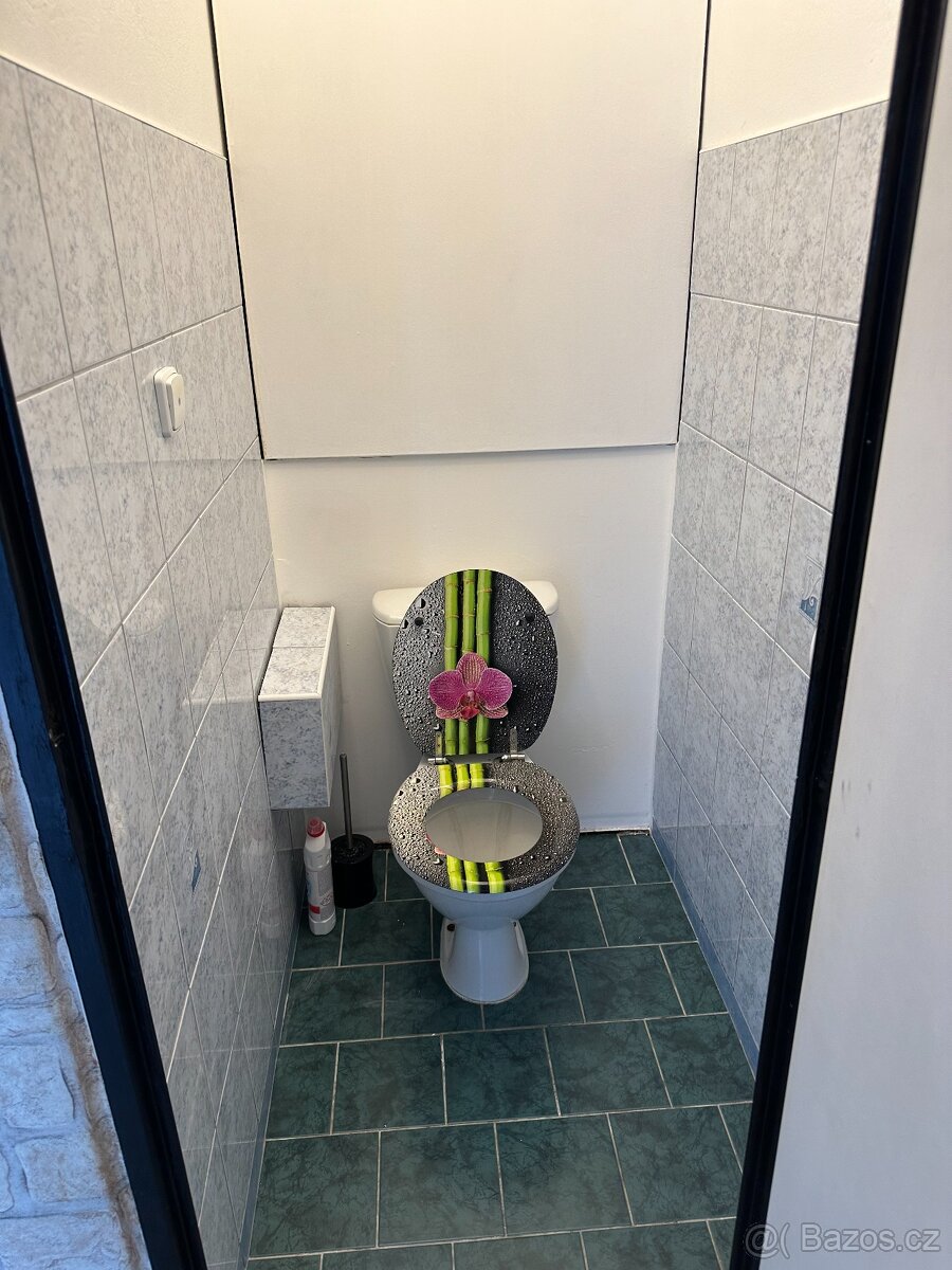 Pronajmu byt 3+1 Bohunice ul. Rolnická - 8