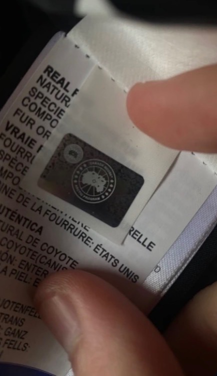 PRODÁM CANADA GOOSE VESTU - 8