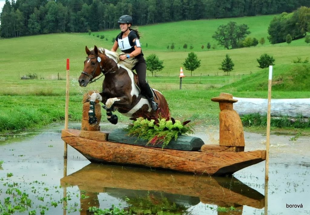 Tříletý valach CS po Heartvit ZH - 8