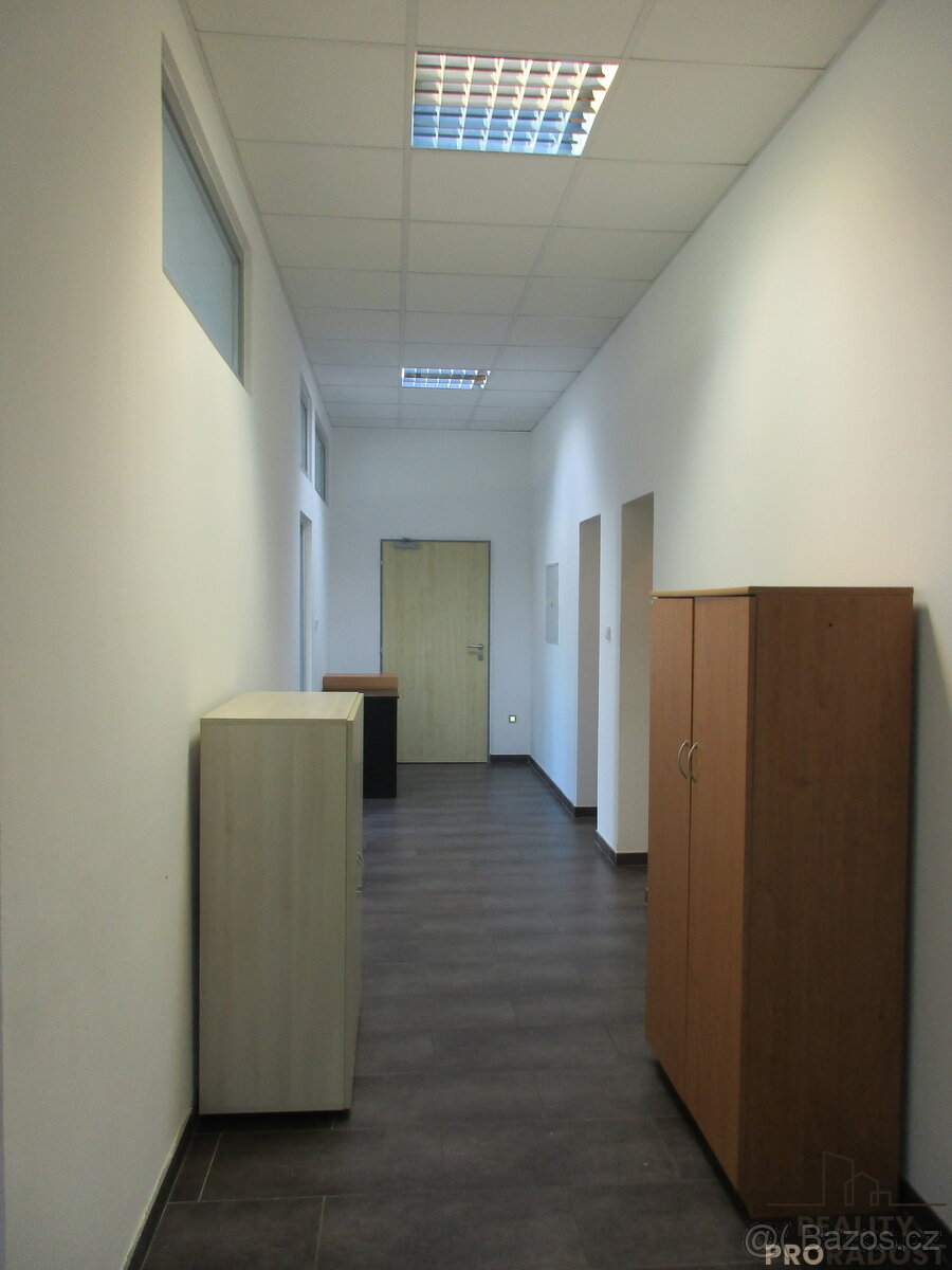 Pronájem nebytových prostor ve Veselí nad Moravou - 8
