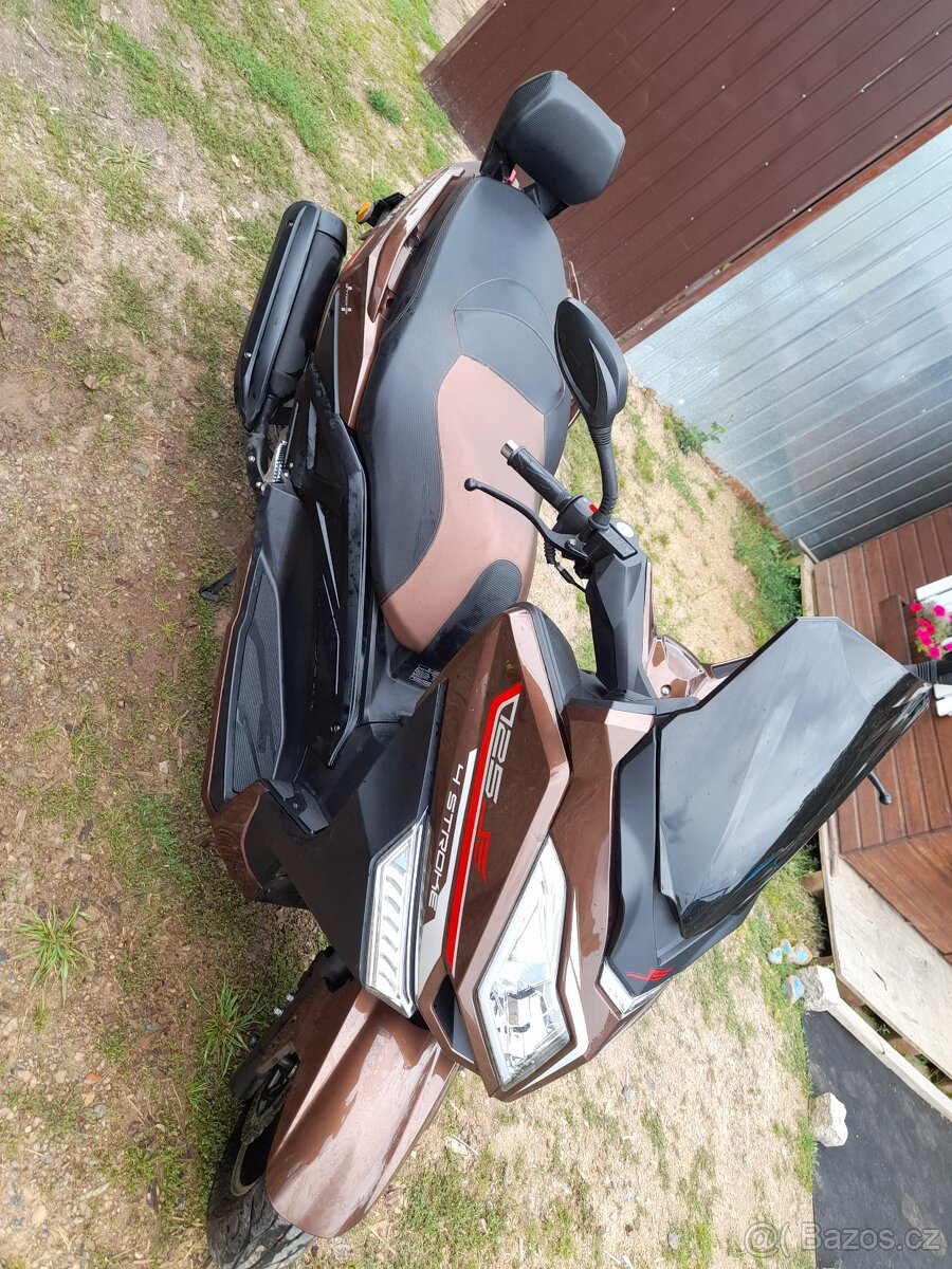 Kentoya maximus 125 - 8