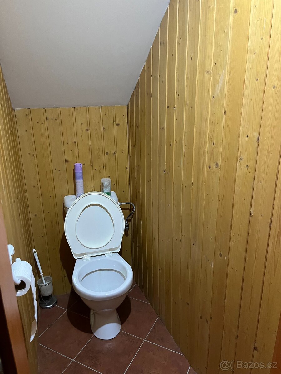 Pronájem bytu 2+1, ul. Lazebnická, Mohelnice - 8