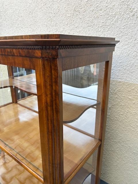 Skleník biedermeier - originál po renovaci. - 8