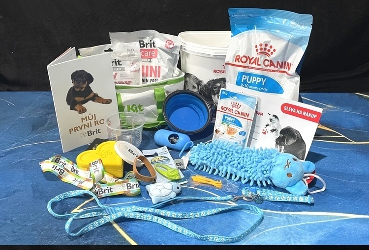 Tibetský španěl - 8