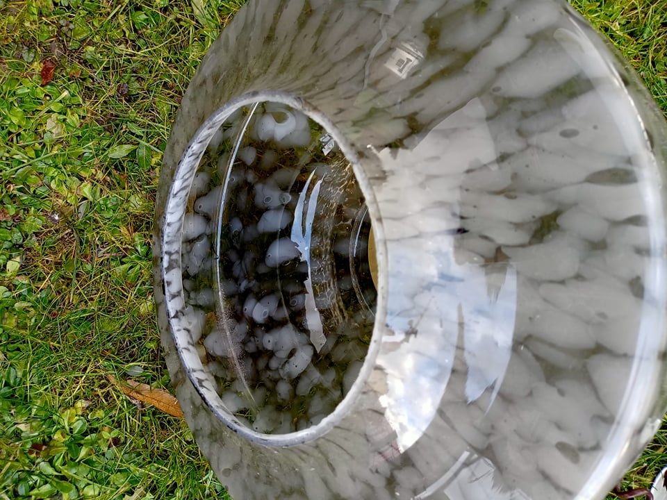 Doprodej přírodních dekorací - 8