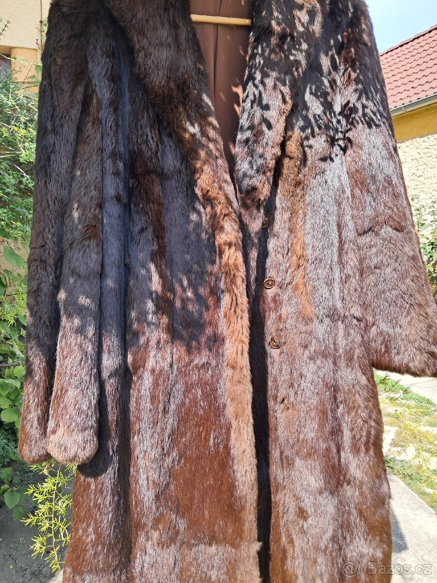 Kabat -krasný kožich - 8