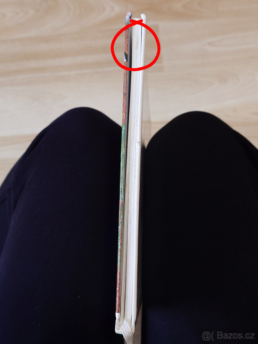 Dinosauři - první dětská knihovna - 8