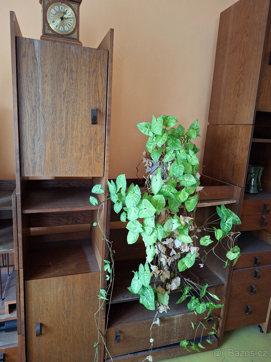 Obývací stěna nábytek - 8