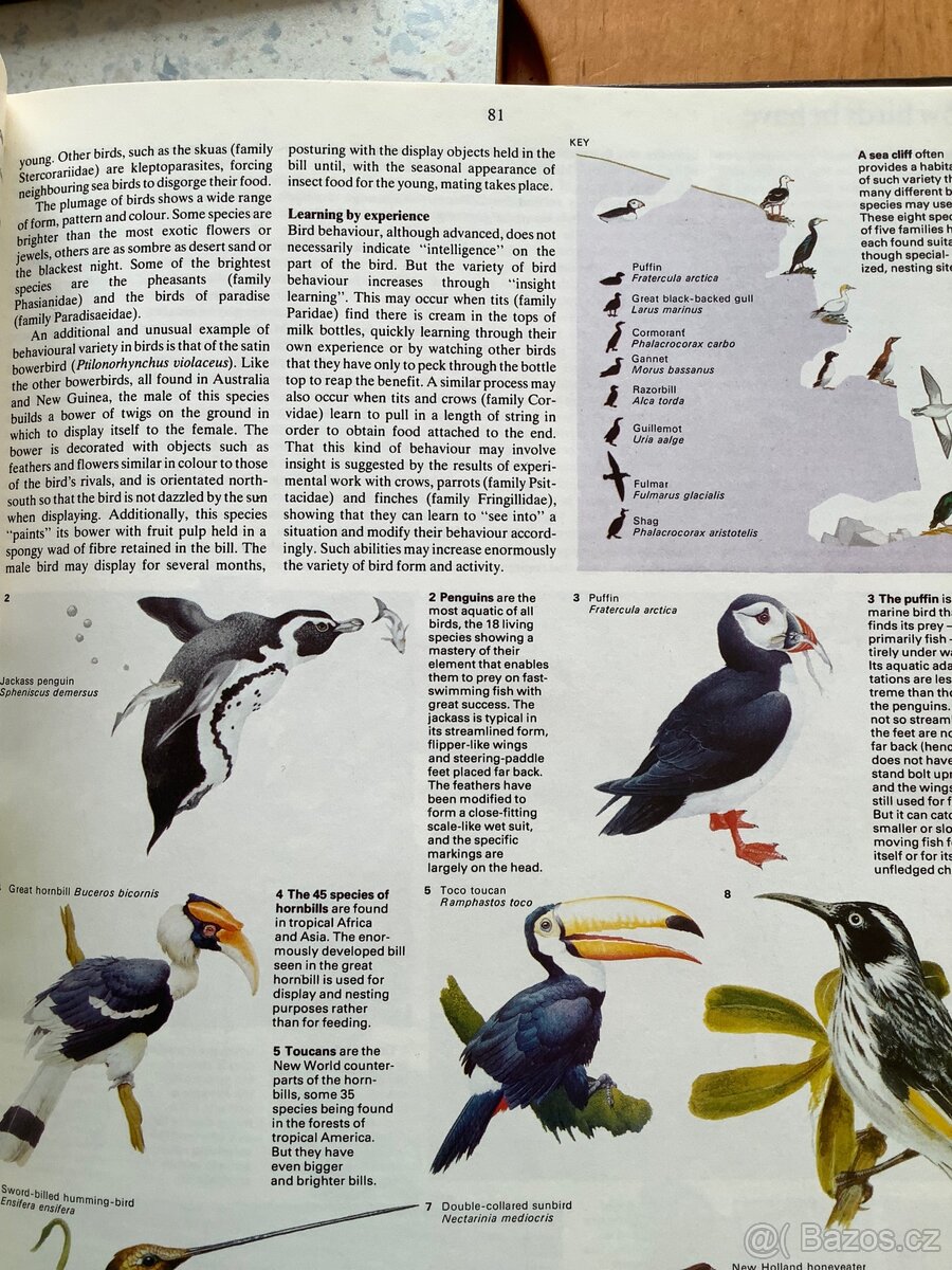 Joy of Knowledge naučné knihy v angličtině - 8