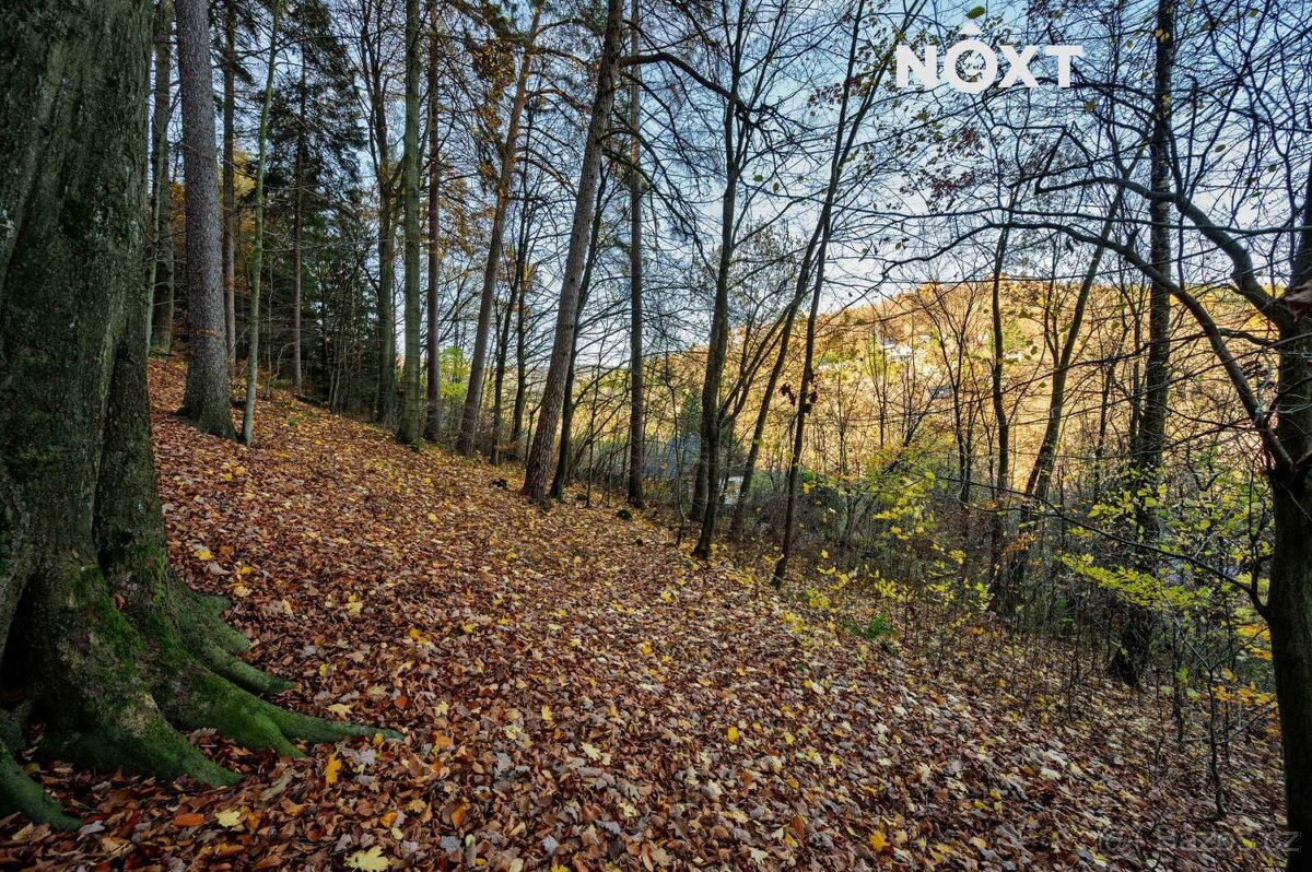 Prodej pozemek Bydlení, 3487㎡ - 8