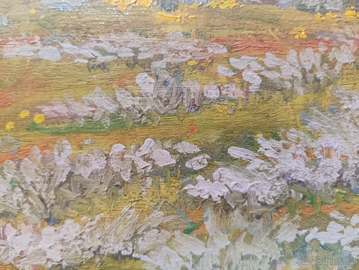 HRBEK OBRAZ OLEJ NA KARTONU - 8