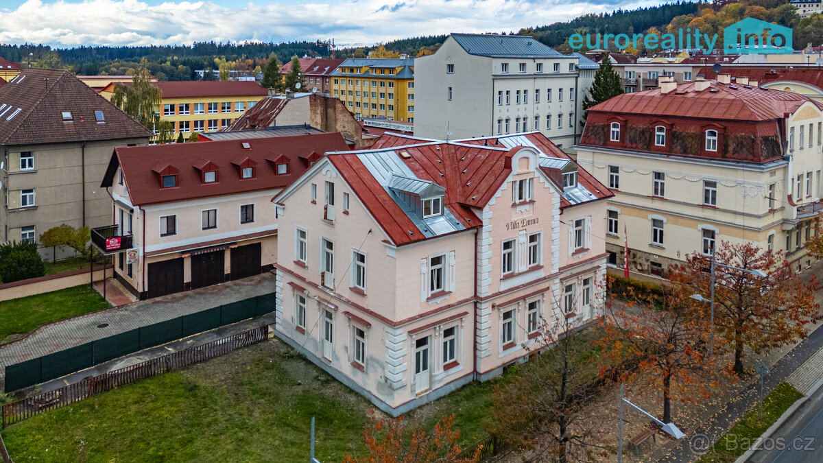 Prodej, byt 1+kk, Hlavní třída, Mariánské Lázně - 8