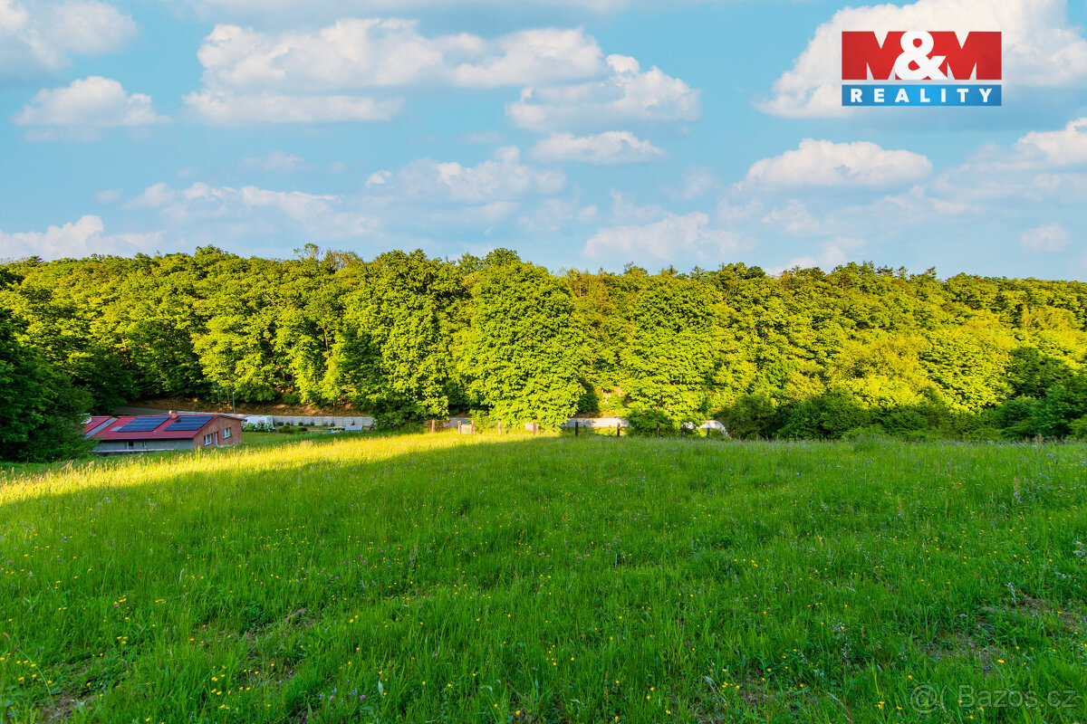 Prodej louky, 18692 m², Jílové u Prahy - 8