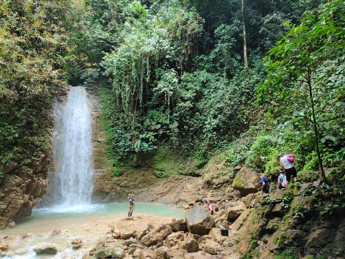 Farmy Kostarika Rio Claro - 8