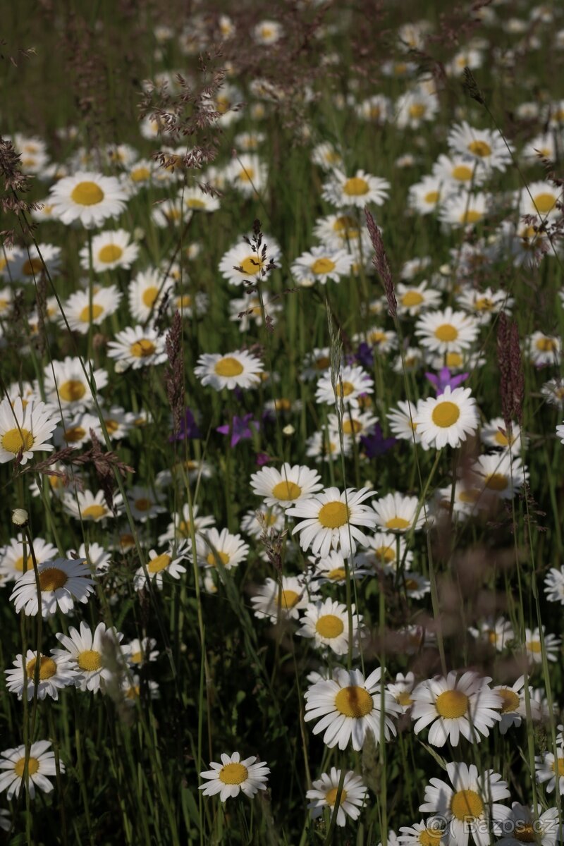 Canon zrcadlovka 2000d - 8