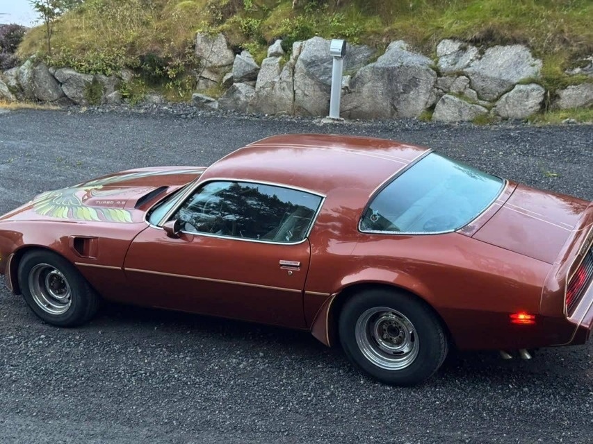 Pontiac Firebird Trans Am z roku 1980 - 8