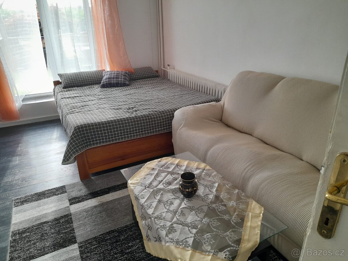 Byt v RD 1+1 s terasou - 8