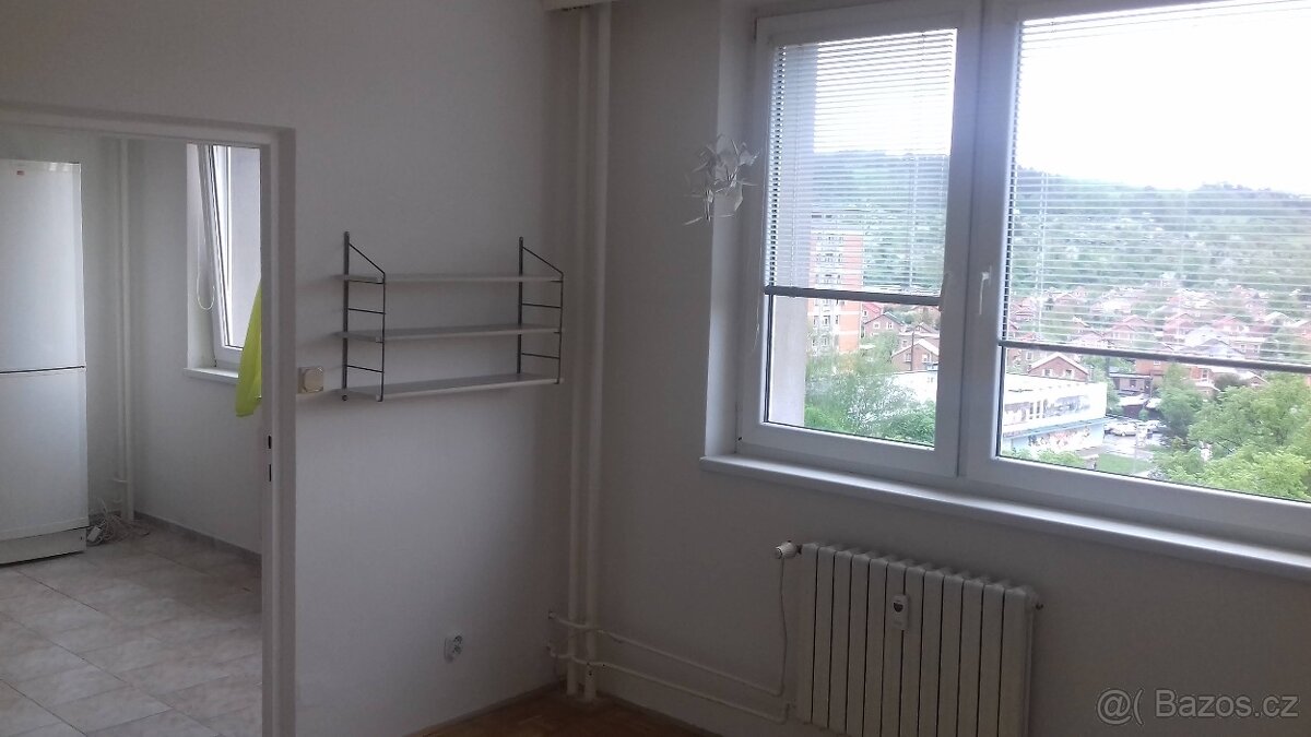 Pronájem 1+1 volný - 8